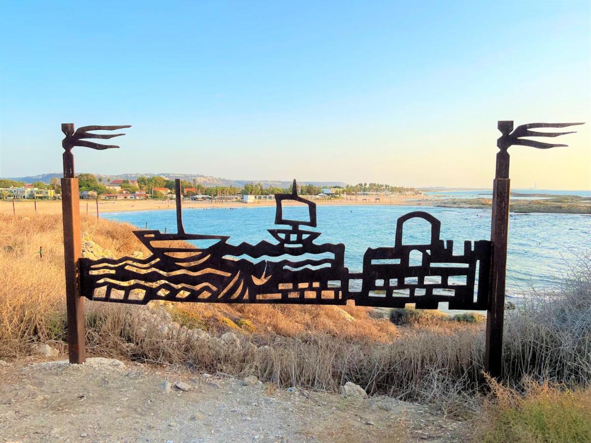 Nachsholim Kibbutz Country Lodging 나흐숄림 외부 사진
